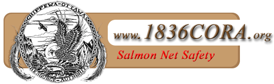 CORA - Salmon Net Safety